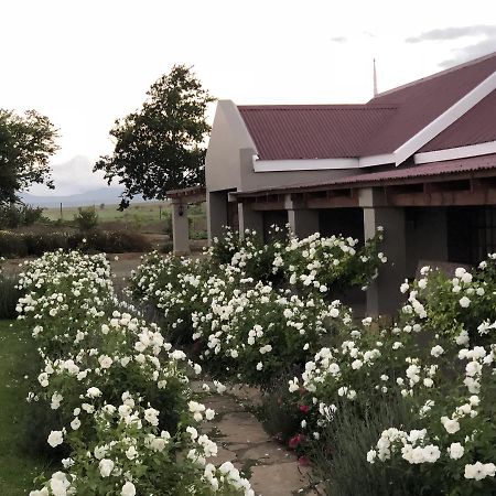 Mountain View Country Guest House Cradock Exterior foto