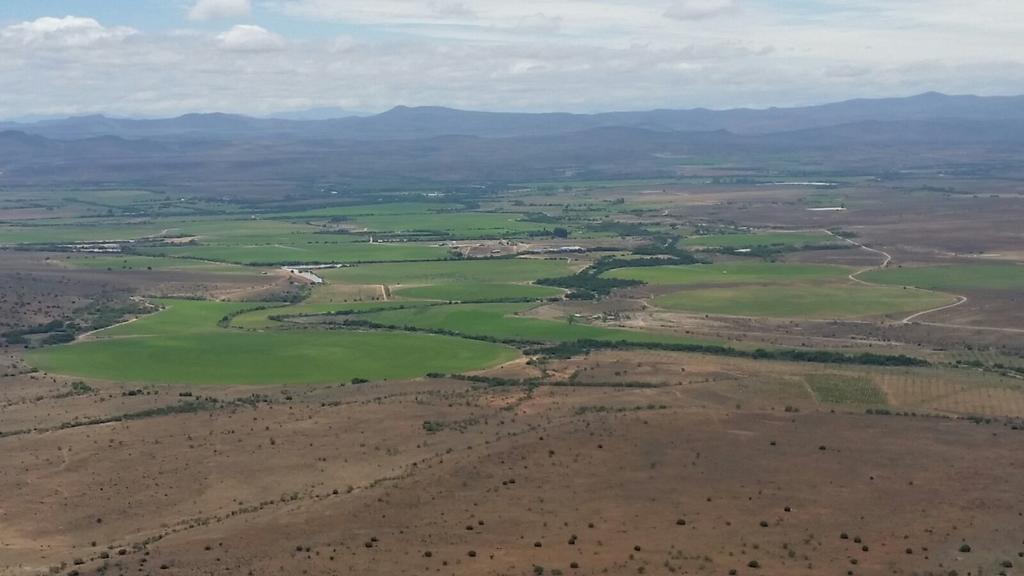 Mountain View Country Guest House Cradock Exterior foto