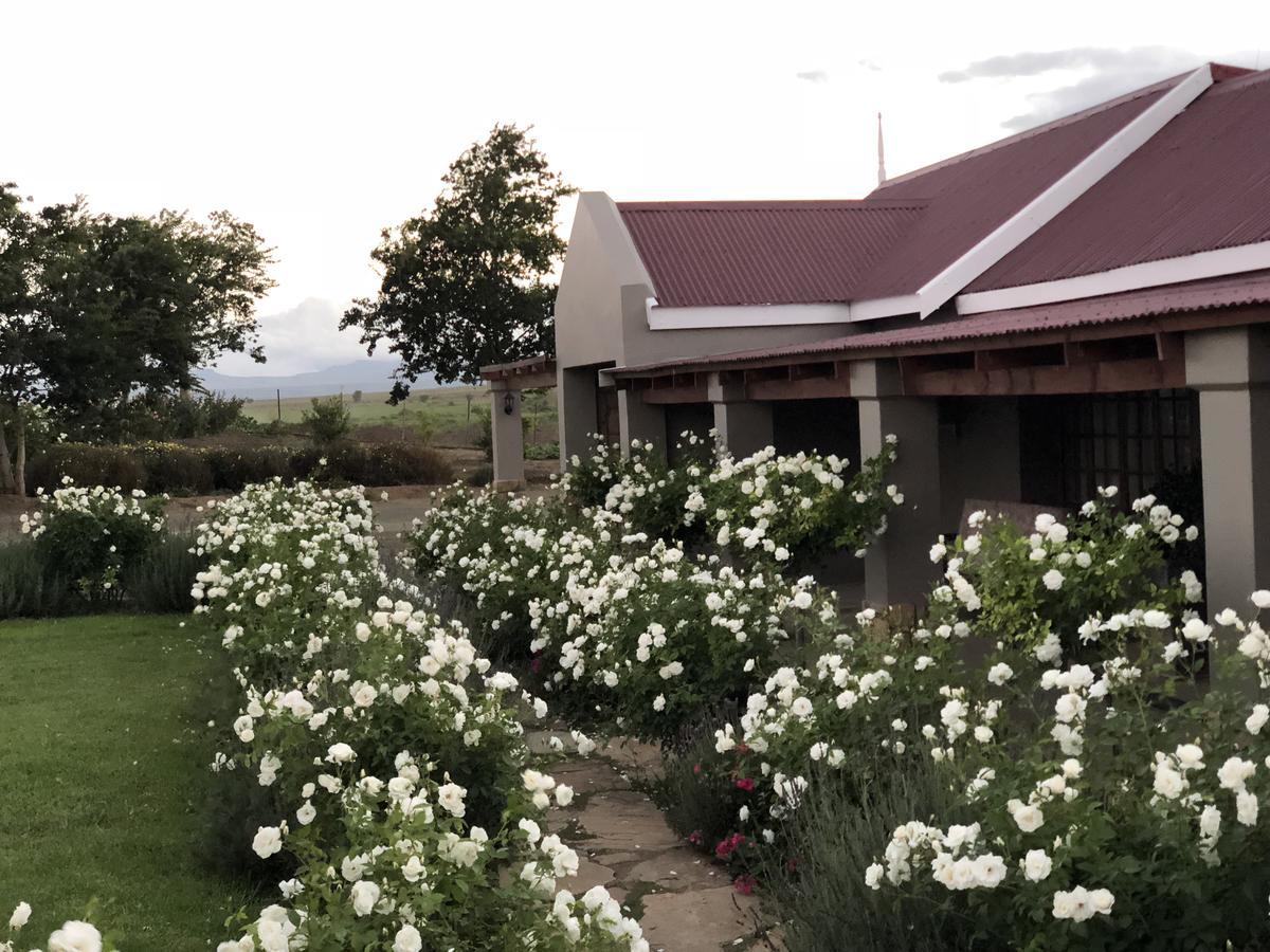 Mountain View Country Guest House Cradock Exterior foto